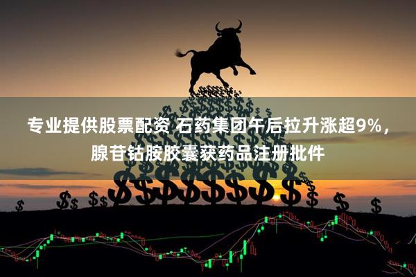 专业提供股票配资 石药集团午后拉升涨超9%，腺苷钴胺胶囊获药品注册批件
