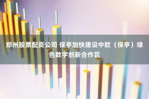 郑州股票配资公司 保亭加快建设中欧（保亭）绿色数字创新合作区