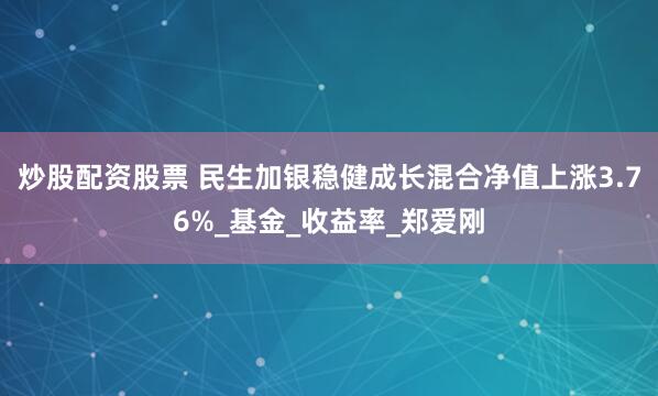 炒股配资股票 民生加银稳健成长混合净值上涨3.76%_基金_收益率_郑爱刚