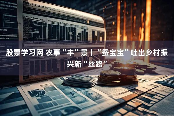 股票学习网 农事“丰”景｜“蚕宝宝”吐出乡村振兴新“丝路”